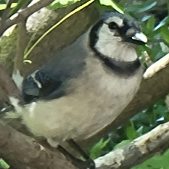 🐘 Multi Beaded Statement Necklace 🐘 GUC(EUC for some) 🐘 - Picture 7 of 7